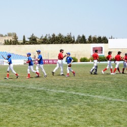 Youths Baseball Major League